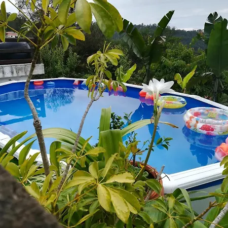 Ideal In Nova De Famalicao With Private Pool * Vila Nova de Famalicão