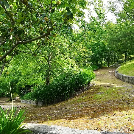 Ideal In Nova De Famalicao With Private Pool * Vila Nova de Famalicão