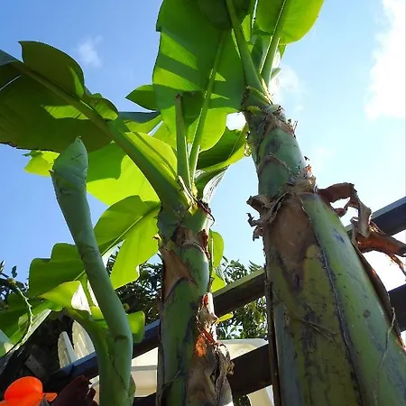 Ideal In Nova De Famalicao With Private Pool *