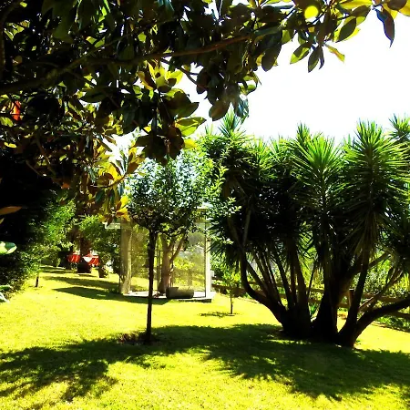 Ideal In Nova De Famalicao With Private Pool Vila Nova de Famalicão