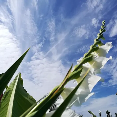 Ideal In Nova De Famalicao With Private Pool Vila Nova de Famalicão