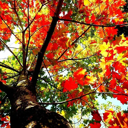 Villa Ideal In Nova De Famalicao With Private Pool Vila Nova de Famalicão