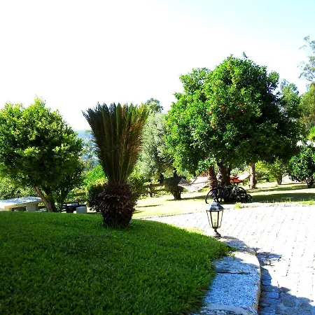 Ideal In Nova De Famalicao With Private Pool