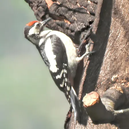Ideal In Nova De Famalicao With Private Pool Vila Nova de Famalicão