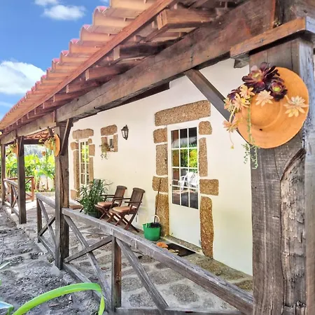 Vila Ideal In Nova De Famalicao With Private Pool *