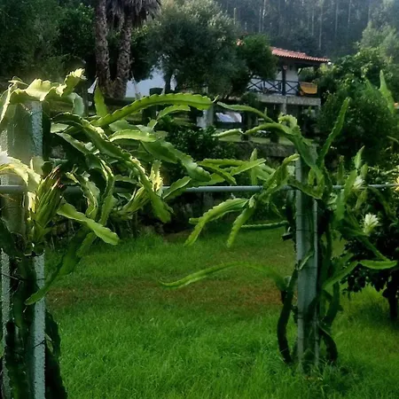 Ideal In Nova De Famalicao With Private Pool *