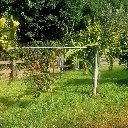 Ideal In Nova De Famalicao With Private Pool Vila