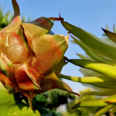 Vila Ideal In Nova De Famalicao With Private Pool