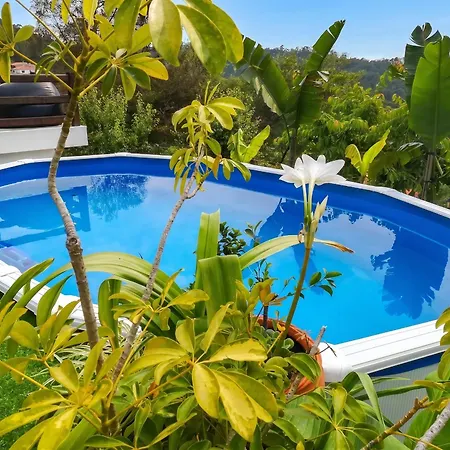 Ideal In Nova De Famalicão With Private Pool