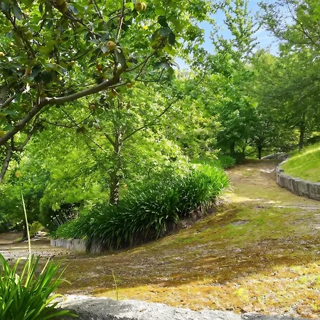 Ideal In Nova De Famalicão With Private Pool *