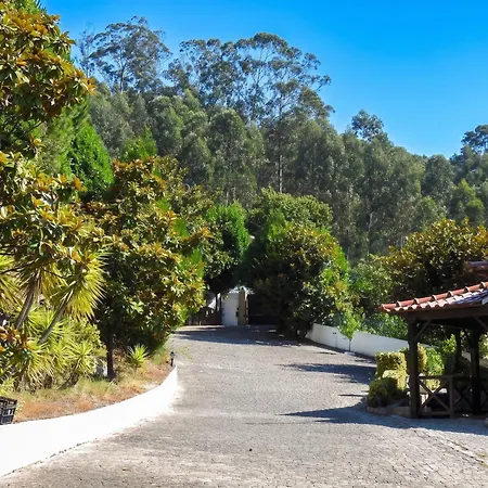 Vila Ideal In Nova De Famalicao With Private Pool