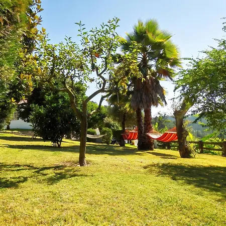 Villa Ideal In Nova De Famalicão With Private Pool