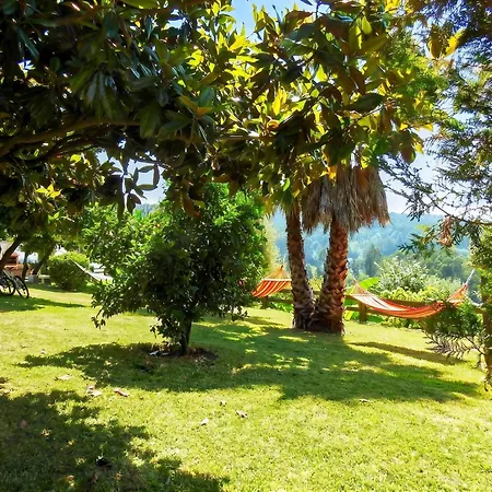Ideal In Nova De Famalicao With Private Pool Vila Nova de Famalicao