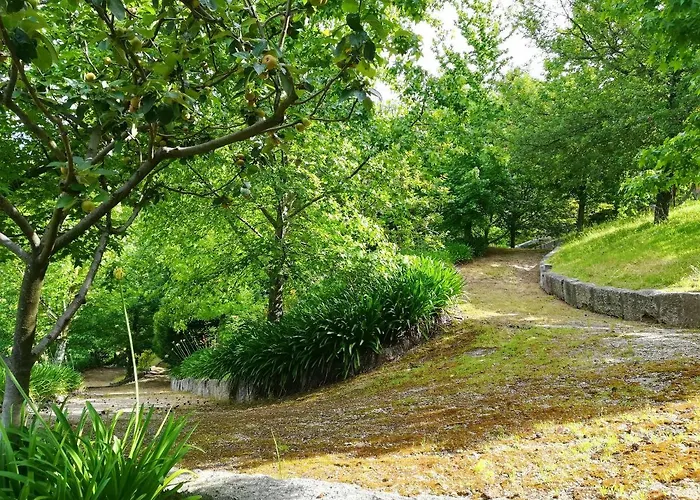 Ideal In Nova De Famalicao With Private Pool * 빌라노바데파말리카오