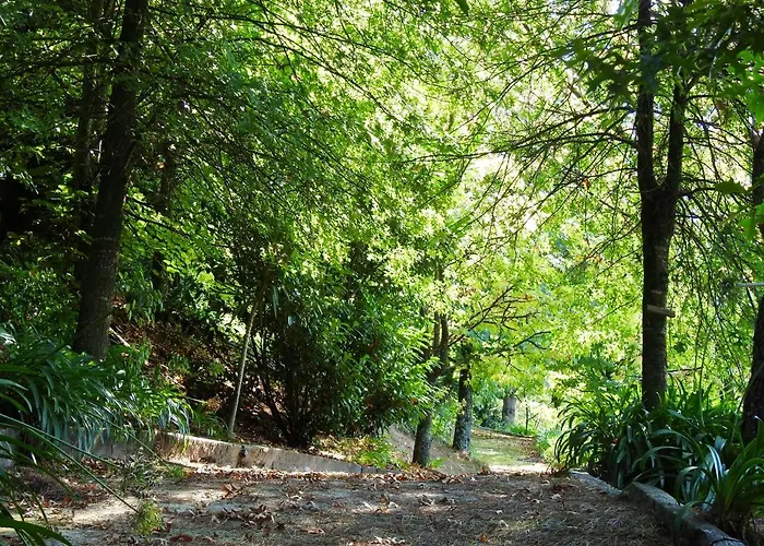 Av. De São Vicente *