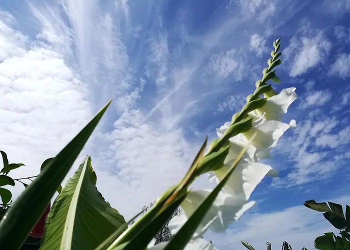 Av. De São Vicente Vila Nova de Famalicão