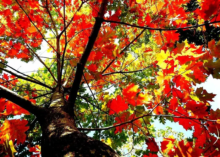 Villa Av. De São Vicente Vila Nova de Famalicão