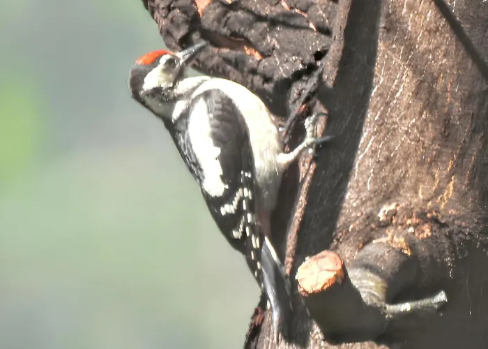 Av. De São Vicente Vila Nova de Famalicão
