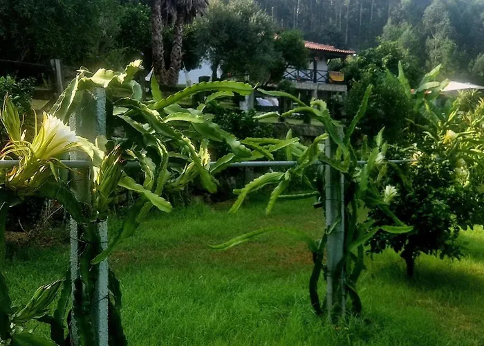 Av. De São Vicente *