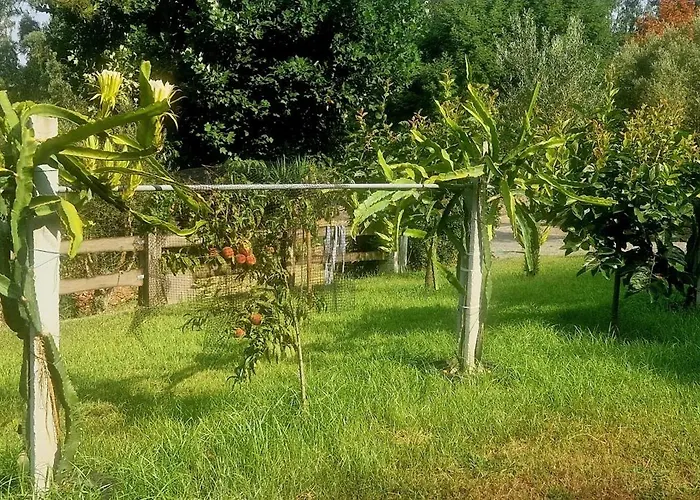 Ideal In Nova De Famalicao With Private Pool Villa