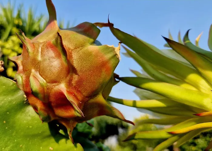 Villa Av. De São Vicente