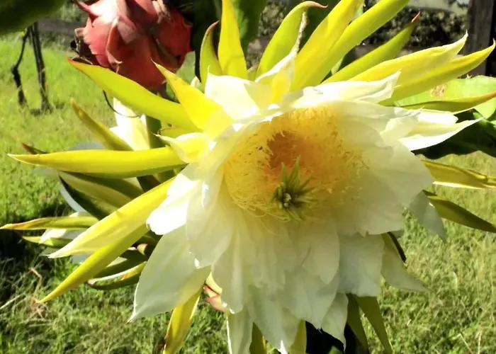 Av. De São Vicente *