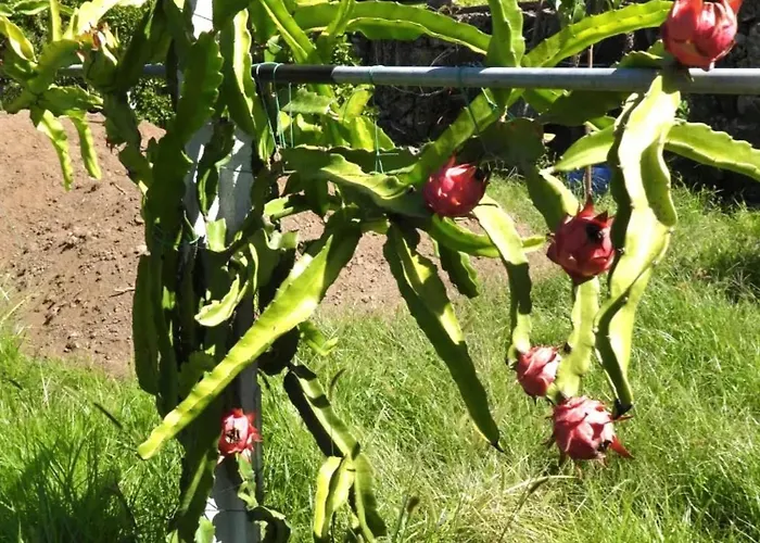 Av. De São Vicente Villa *